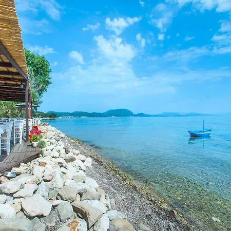 Uranos By Vintage Travel *